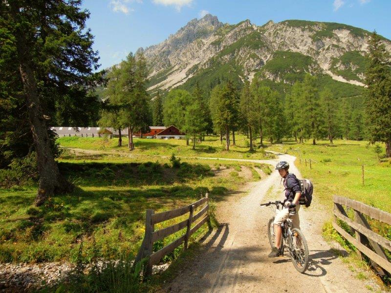 Mountainbike