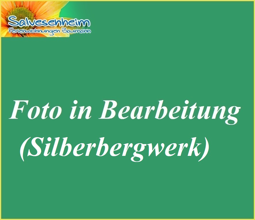 Schwazer Silberbergwerk